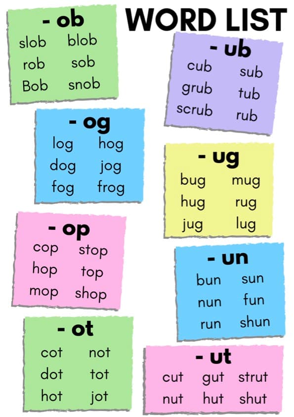 Short O and Short U Word Family Flash Cards | 48 CVC Picture Cards | Grade 1