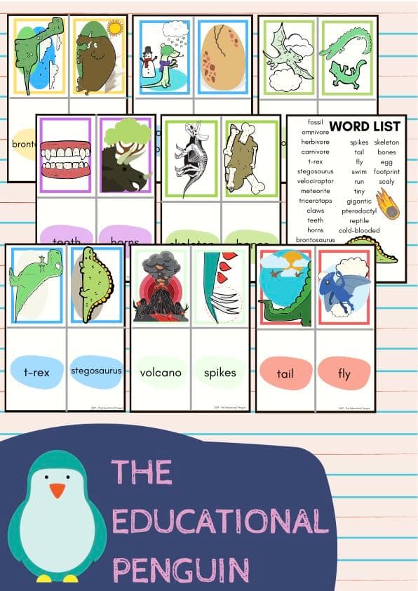 Dinosaur Flash Cards | 30 Vocabulary Picture and Word Cards | 1st Grade ESL