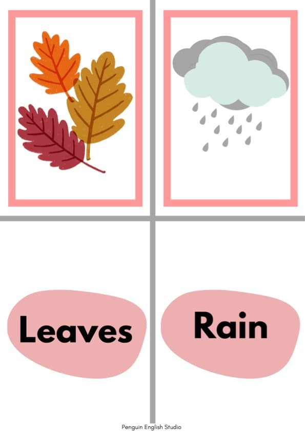 Fall Flash Cards | 30 Autumn Vocabulary Picture and Word Cards | Pre-K ESL