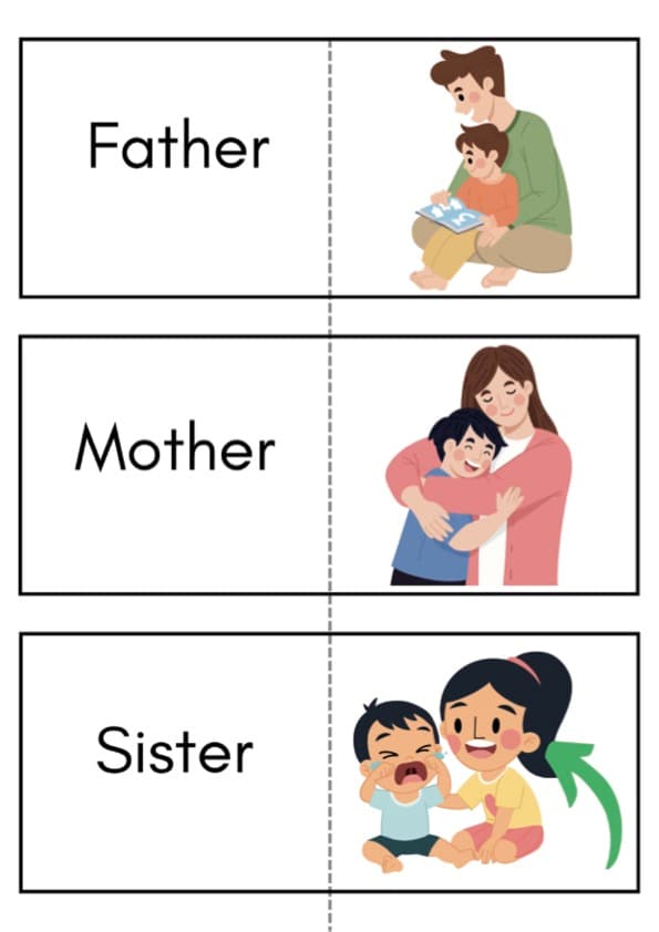 Family Members Flash Cards | Family Vocabulary Cards in 4 Sizes | 1st Grade ESL