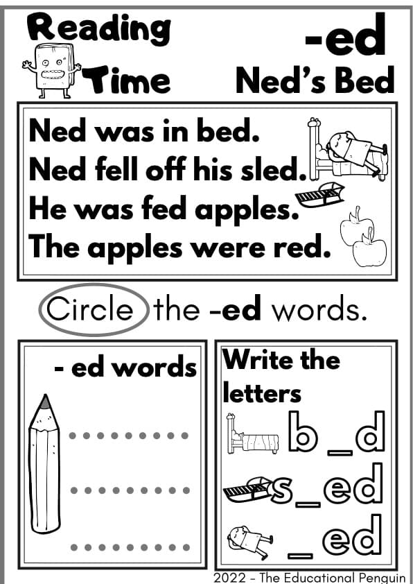 Short E Word Family Reading Passages | CVC Decodable Stories -ed -et -eg -en | 1st Grade