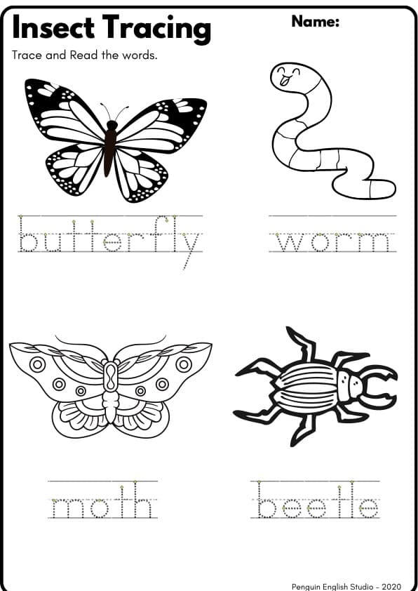 Insects and Bugs Activity Pack | 30-Page Minibeast Writing Center | 1st Grade