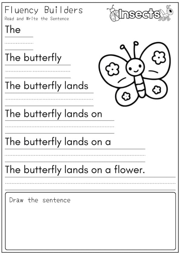 Insect Sentence Pyramids | 30 Fluency Builder Read, Write and Draw Pages | 1st Grade