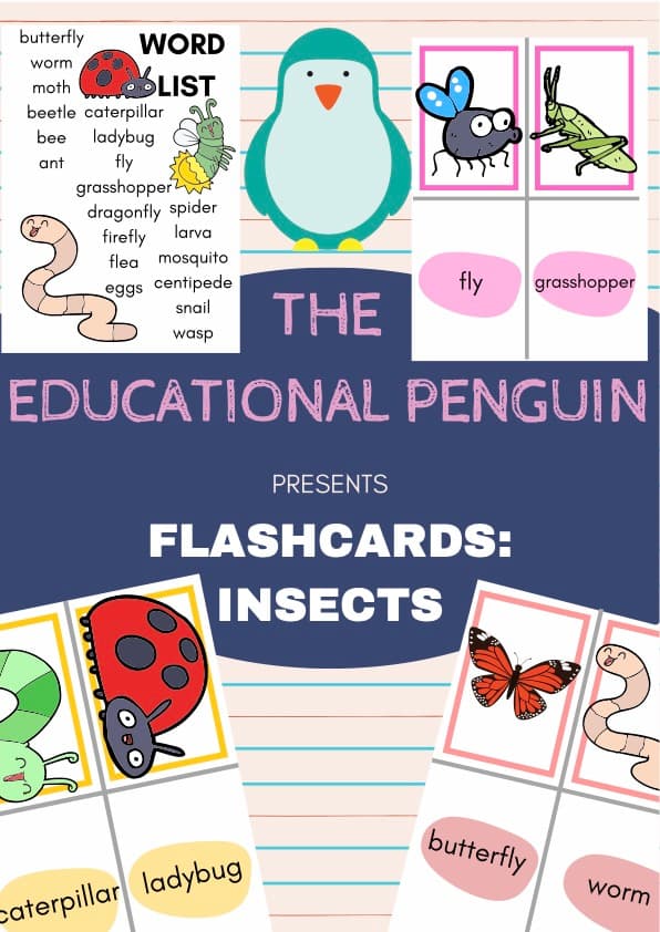 Insects and Bugs Flash Cards | 20 Picture and Word Cards | 1st Grade ESL Vocabulary