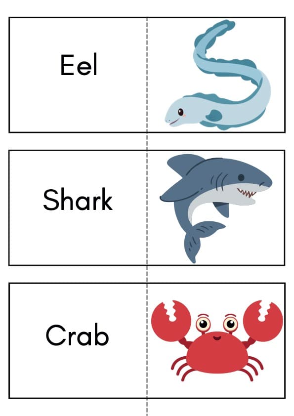 Ocean Animals Flash Cards in 4 Sizes | 36 Sea Creature and Body Part Words | Pre-K-1st Grade ESL