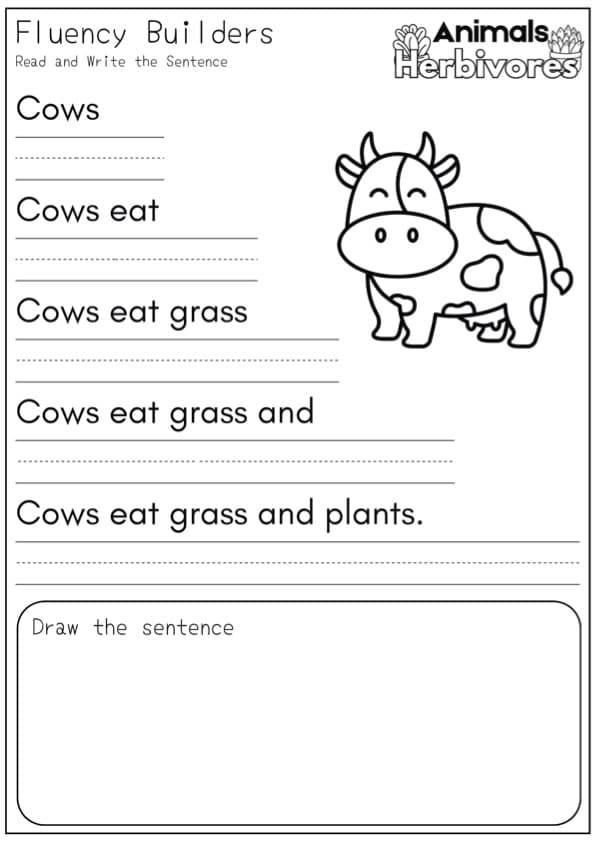 Animal Sentence Pyramids | 30 Herbivore, Carnivore and Omnivore Fluency Worksheets | 1st Grade