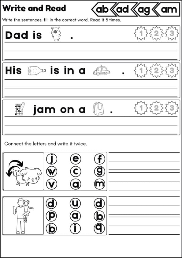 CVC Picture Sentences Worksheets | Read, Write and Spell Short Vowel Words | 1st Grade