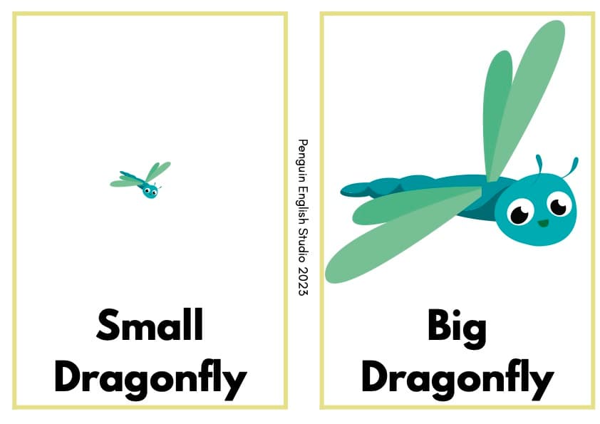 Adjective Opposites Flash Cards | Insect Theme Vocabulary Cards, 1st Grade