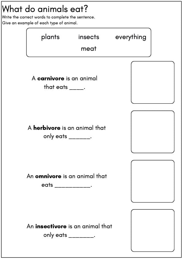 What Do Animals Eat? Food Chain Worksheets | Herbivore, Carnivore, Omnivore | 1st Grade ESL Science