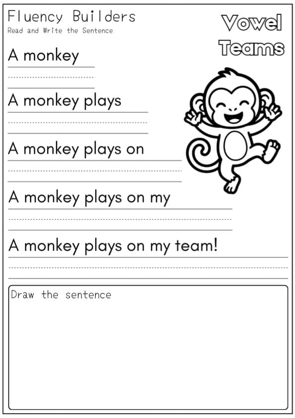 Vowel Teams Fluency Builders Read Write Draw Phonics Worksheets ESL | 1st Grade Phonics