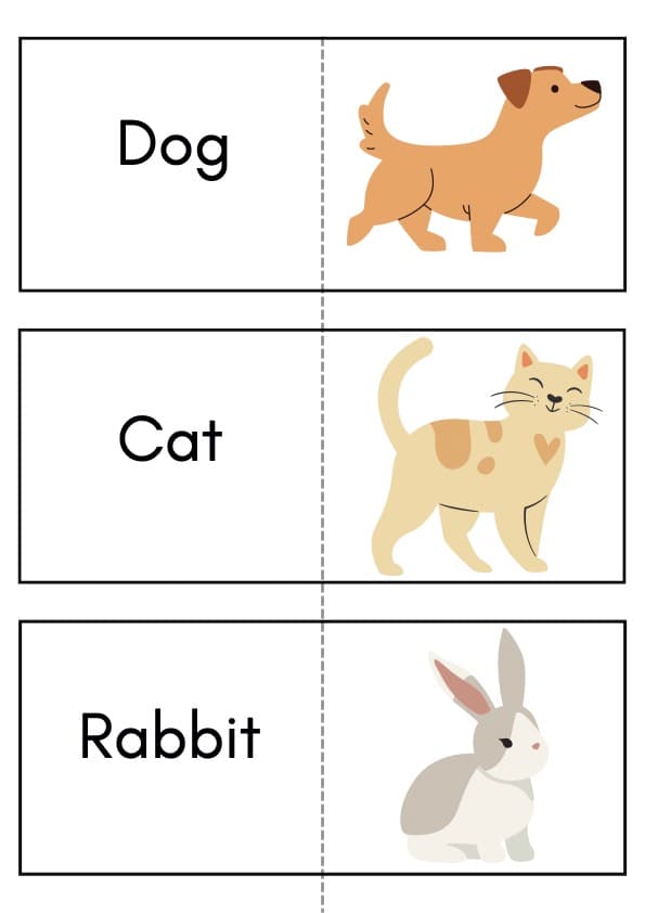 Animals & Animal Parts Flash Cards | ESL Vocabulary Set, 178 Pages, Pre-K