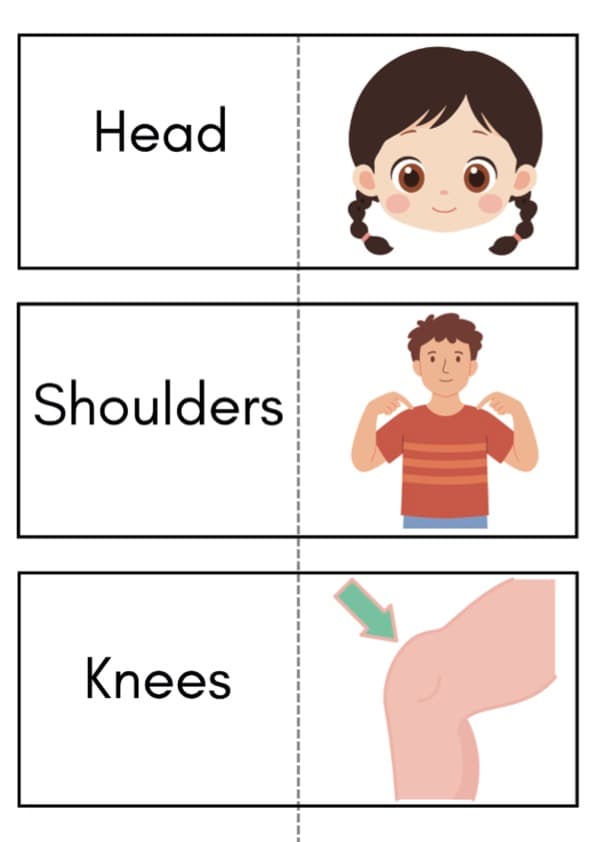 Body Parts Flash Cards | 30 Words in Four Card Sizes | Pre-K ESL Vocabulary | Pre-K Flash Cards
