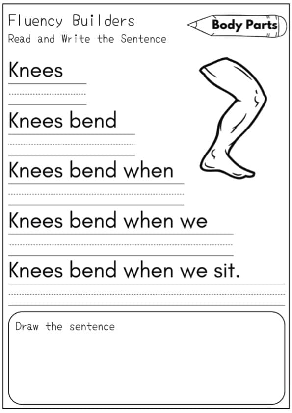 Body Parts and Organs Sentence Pyramids Worksheets | 30 Read, Write and Draw Pages | 1st Grade Grammar