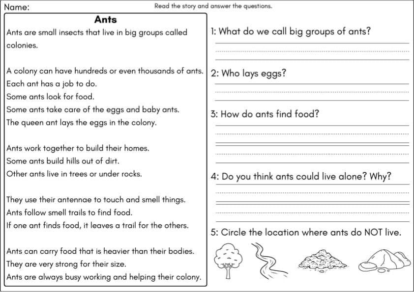 Insects Reading Comprehension Passages | 10 Nonfiction Bug Texts | 1st Grade Science