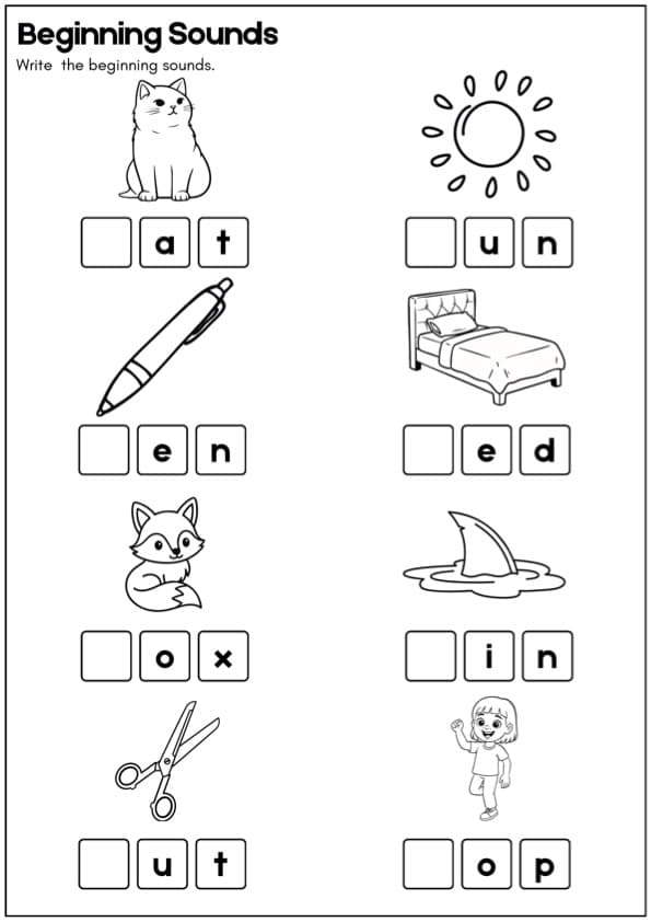 CVC Beginning, Middle and Ending Sounds Worksheets | Short Vowel Phonics | 1st Grade CVC Words